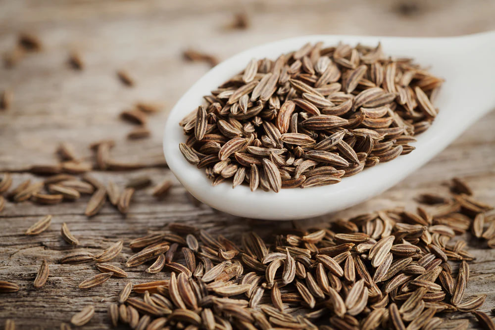Cumin cultivation in India