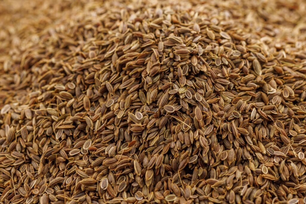 Dill Seeds — Siaan Agro International
